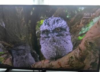 LG49LH510V pilot zamienie na mniejszy 40-42cale