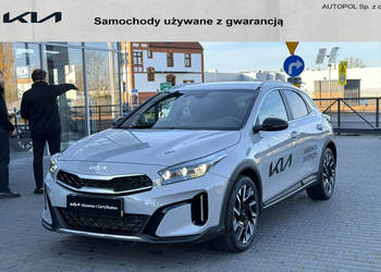 Kia XCeed 1.6 T-GDI 7DCT / Tribute / Wolf Gray / bezwypadkowy / demonstacy…