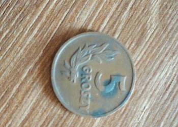 Sprzedam 5 gr 1949 r bzm