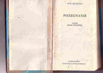 (3685) POŻEGNANIE – IVO MICHIELS.