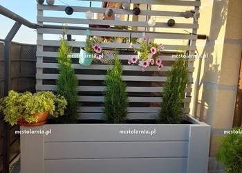 donica z pergolą płot plotek żaluzja pergola donica skrzynia