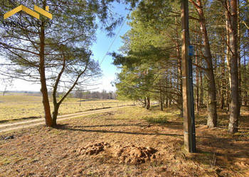 Działka budowlana 3002m2, uzbrojona z lasem