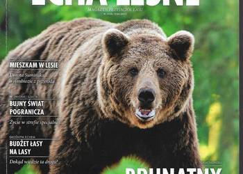 Echa leśne nr 1(615) 2014