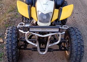 quad Bashan 250