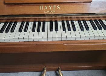 Pianina z dowozem 606 742 556