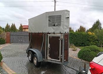 Przyczepa do przewozu koni