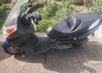 Suzuki burgmann 125cm