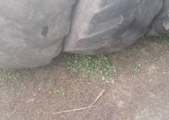 Sprzedam opony 405/70-24