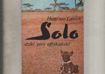 Solo dziki pies afrykański - Lawick