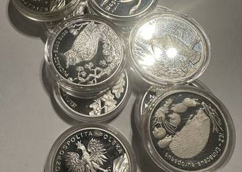 Srebrne monety kolekcjonerskie NBP