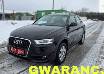 Audi Q3 bixenon ledy navi mały przebieg I (2011-2018)
