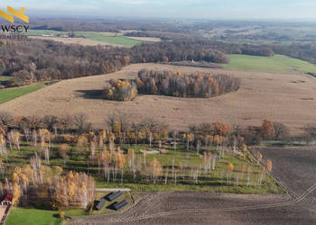 Duża działka z warunkami – Dawidy, 5306 m²