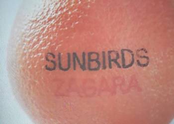Archiwum jazz rocka SUNBIRDS- Zagara. 1973.