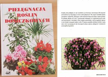 Pielęgnacja roślin doniczkowych, Beata Przybylska Banaszek