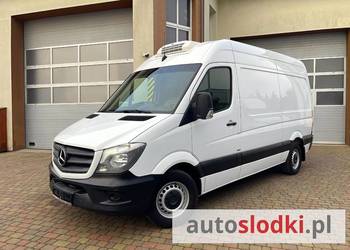 Mercedes Sprinter L2H2 Chłodnia nr 173