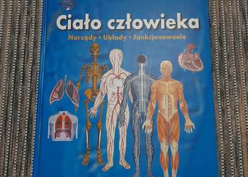 Książka edukacyjna "Ciało człowieka"  Wiedza w pigułce Idealna na prezent