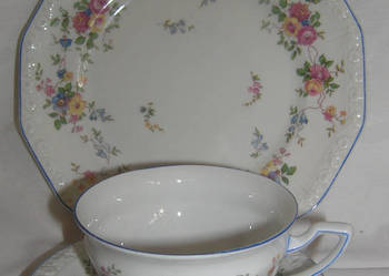 filiżanka vintage Rosenthal Maria Flowers_Dd
