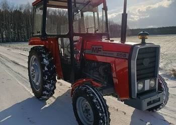 Massey Ferguson MF255 po remoncie, wspomaganie, nowe opony(Ursus 3512)