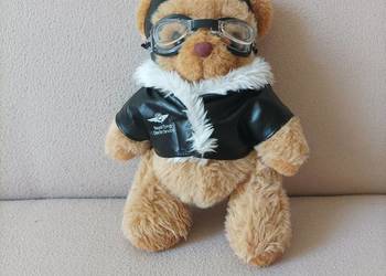 Miś Teddy pilot