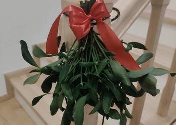 Jemioła bożonarodzeniowa piękne duże kule oraz peczeczki