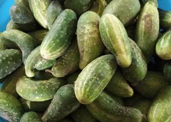 Ogórki na salatke