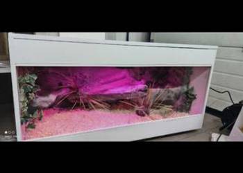 Okazja terrarium dla agamy gekona żółwia węża kameleona legwana boa pająka