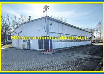 Hala wolnostojąca do wynajęcia Mysłowice plac biura socjal.