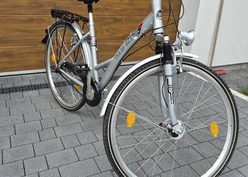 Rower Alu Rex