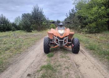 Shineray stxe 250 quad