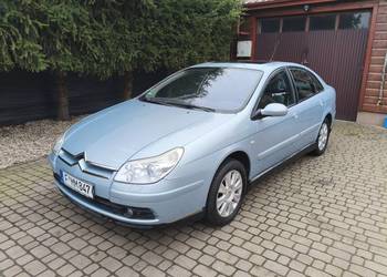 Świeżo sprowadzony z Niemiec