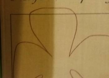 Broniewska książki Maje i listopady prezenty unikatowe