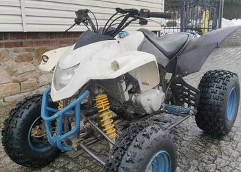 Quad Raptor 350ccm