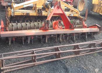 Brona wirowa maschio kuhn