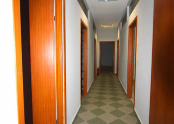 Lokal Rybnik 100m2