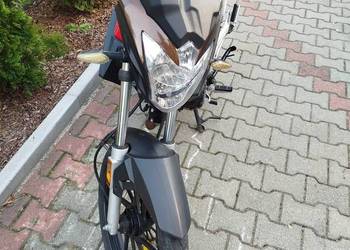 Junak 904 2018r.50cm