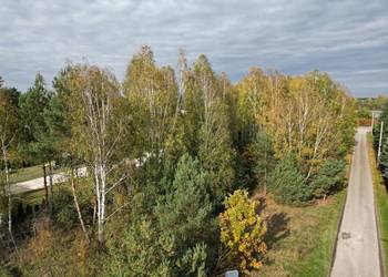 Urokliwa działka budowlana 1331 m² | Mrozy, gm. Puszcza Mariańska