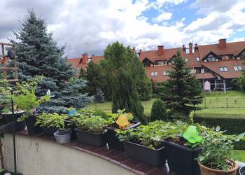 3-pokojowe mieszkanie 72 m² | Wysoka | garaż | kominek | taras | zamknięte
