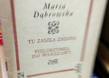 Dąbrowska Opowiadania Najdalsza droga antykwariat internetow Dąbrowska Opowiadania Najdalsza droga antykwariat internetow