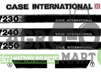 1342052C1, A67936 NAKLEJKA CASE INTERNATIONAL CNH