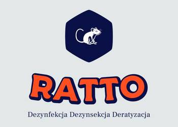 Likwidacja Pluskwy Domowej - Odpluskwianie