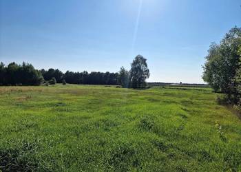 Sorzedam łąkę , ziemia rolana 1,17 ha, Mak-Wykno koło Bieżuń