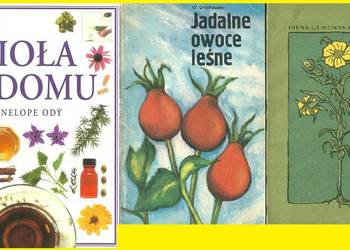 Zioła w domu/Jadalne owoce leśne/Ziółka i my /Gumowska