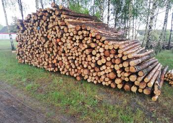Stemple budowlane nowe sosna lub modrzew 3m, 3,5m, 4m, 5m