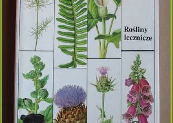 Rośliny lecznicze - Volak, Stodola/ rośliny / zioła/ matura/