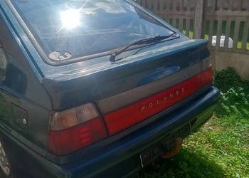 Polonez caro