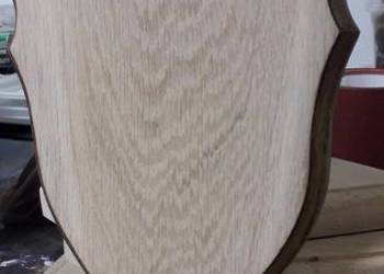 Deska pod poroże , trofea.