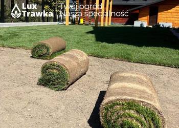 Trawa w rolce | Trawa z rolki | Sezonowana od 12-18 miesięcy