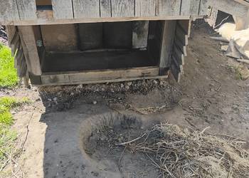 sprzedam budę dla dużego psa