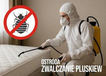 Zwalczanie pluskiew Ostróda - Odpluskwianie, Dezynsekcja