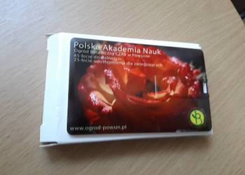 Pendrive 8gb
